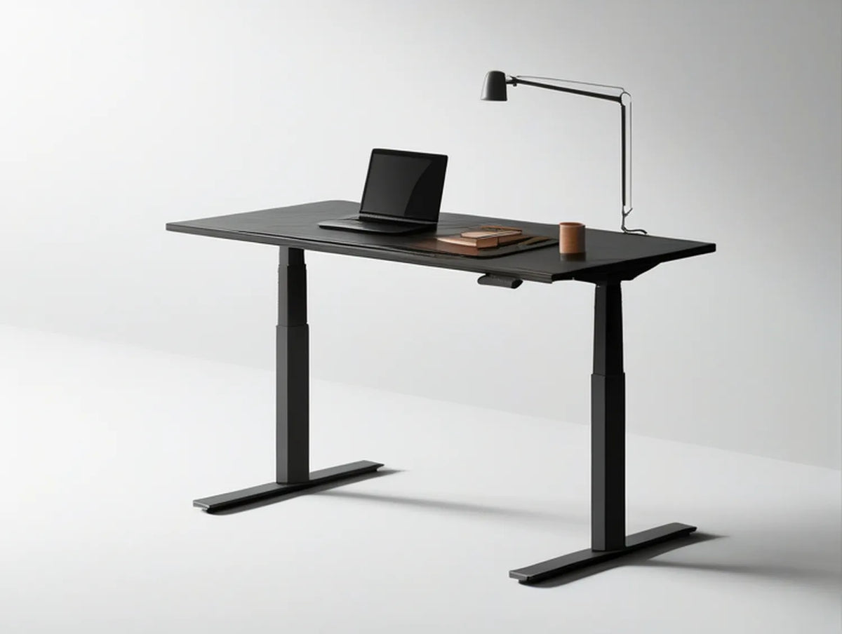 48 x 24 in Black Electric Height-Adjustable Standing Desk with Engineered Wood Top