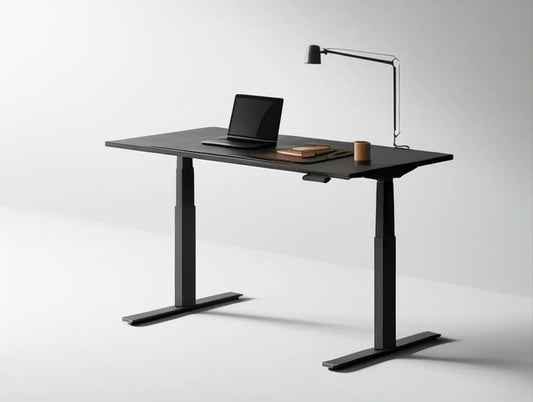 48 x 24 in Black Electric Height-Adjustable Standing Desk with Engineered Wood Top